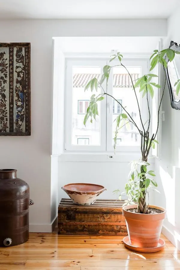 Alfama Terrace: Historic Charm with River Views Lisbon Portugal